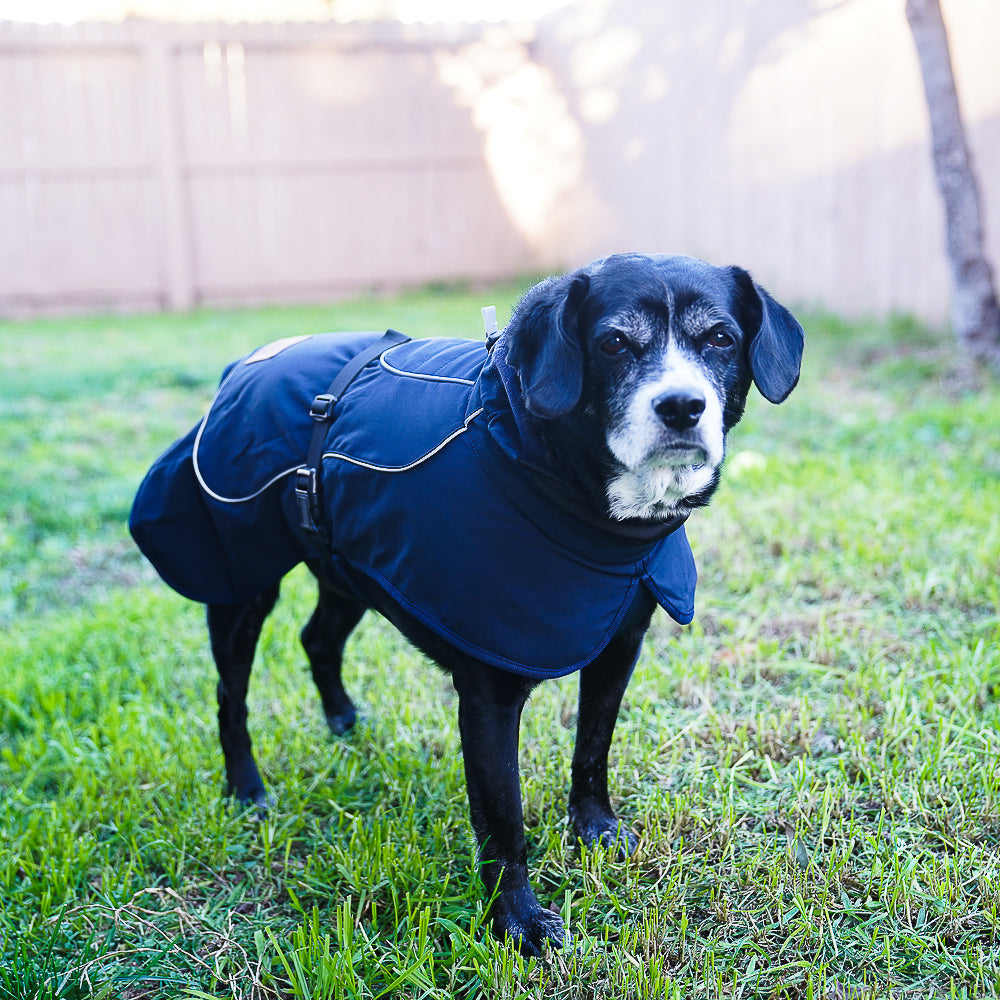 Brize Dog Raincoat - Navy
