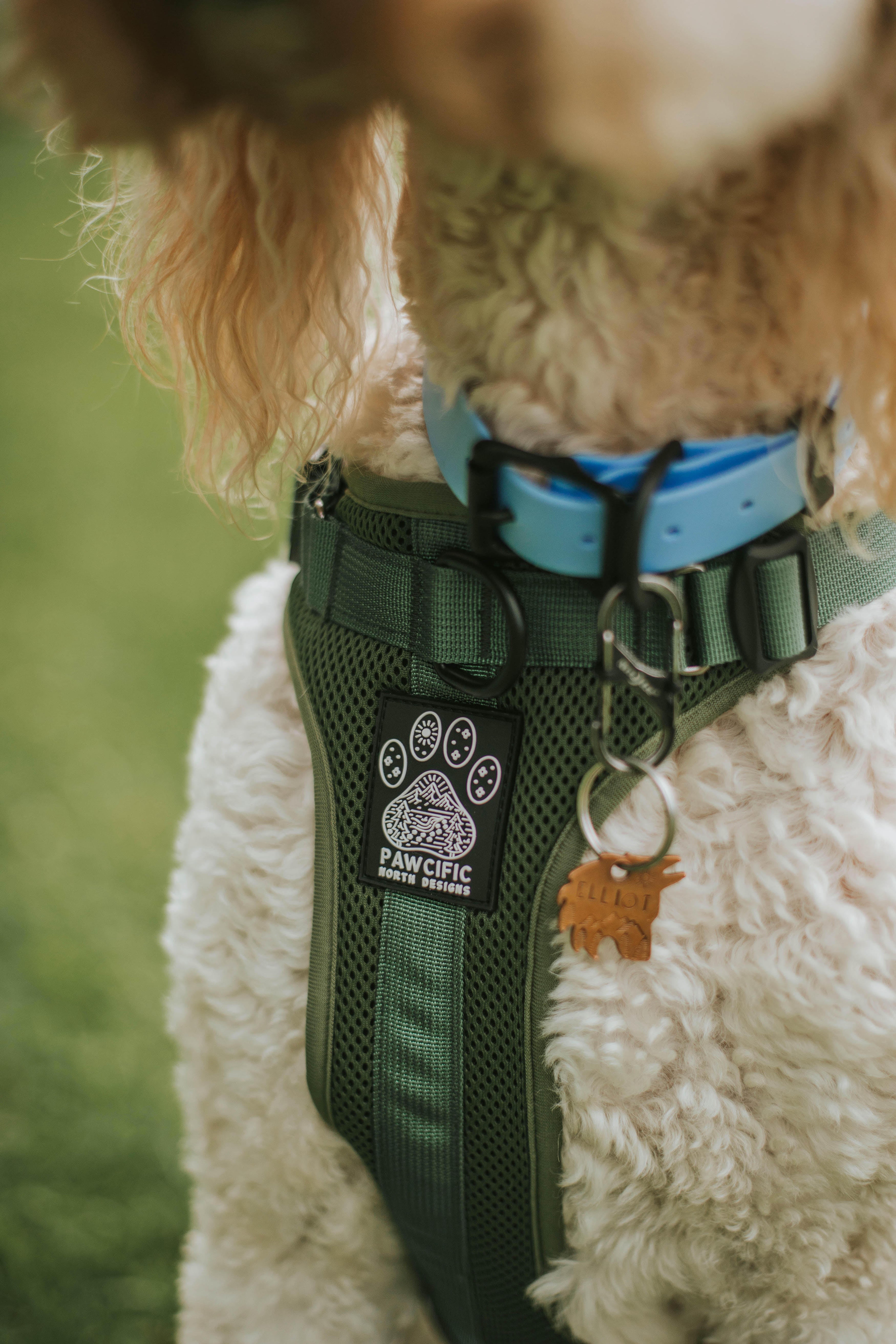 Soft Padded Olive Harness