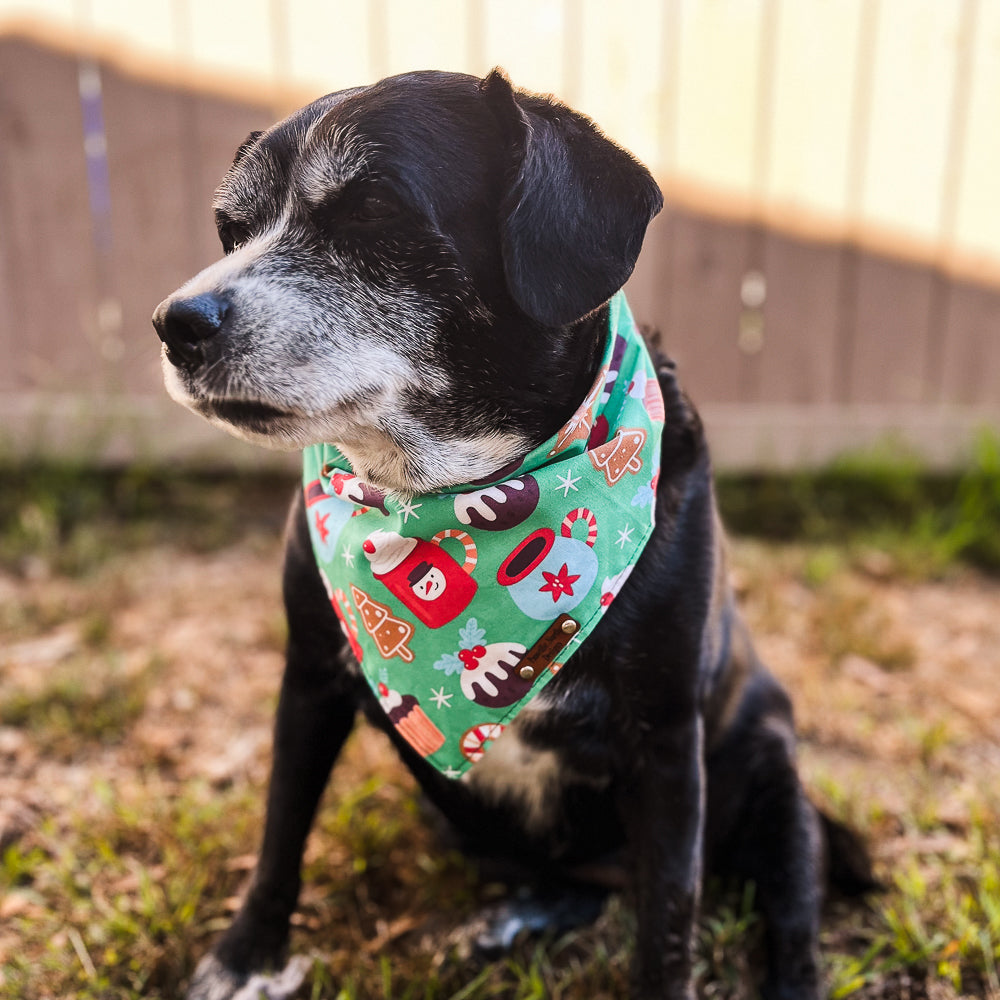 Sawyer Snap on Bandana