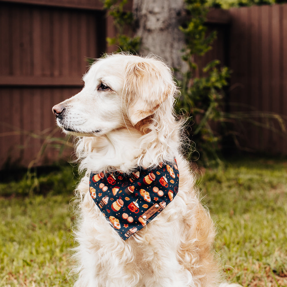 The Post Oak  Eco Friendly Dog Collar – 29 North Boutique at The