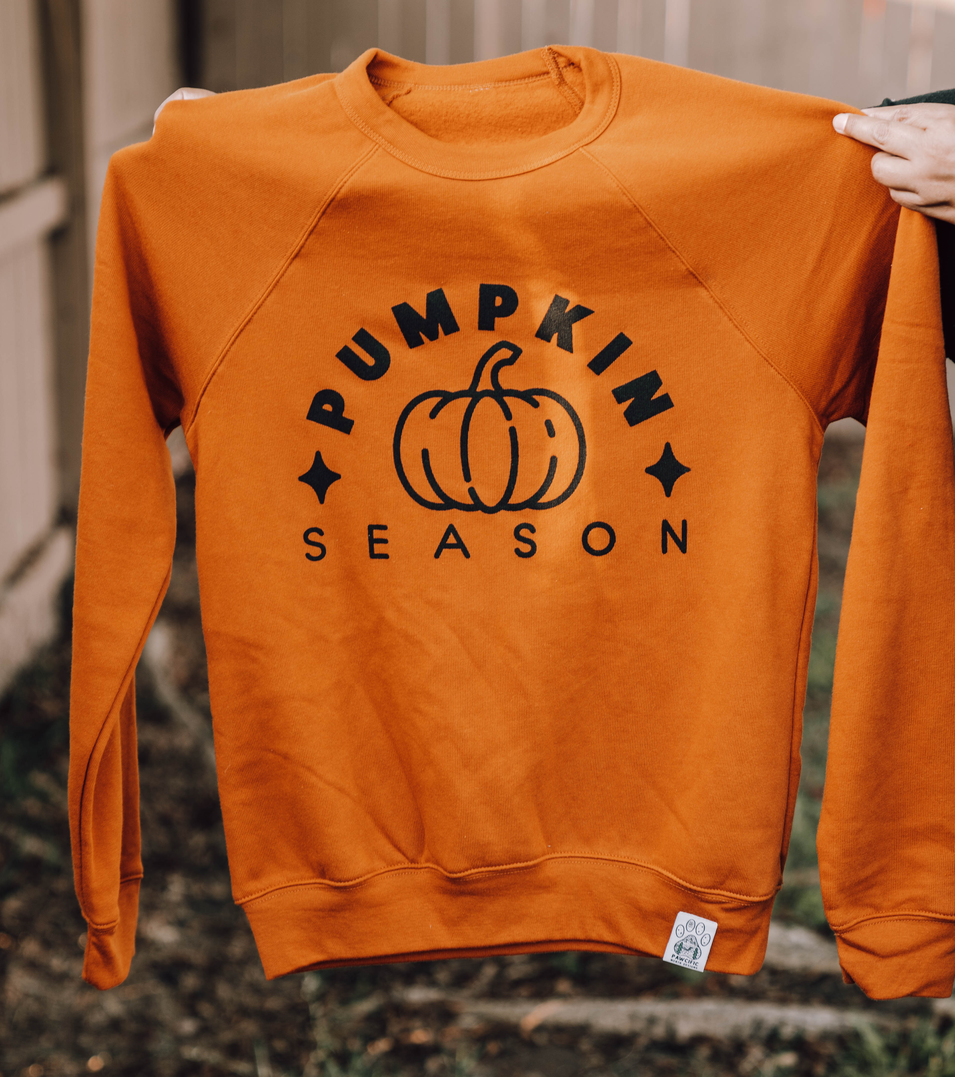 Autumn Harvest Pumpkin Season Crewneck