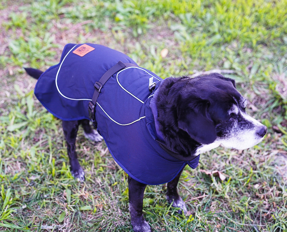 Brize Dog Raincoat - Navy