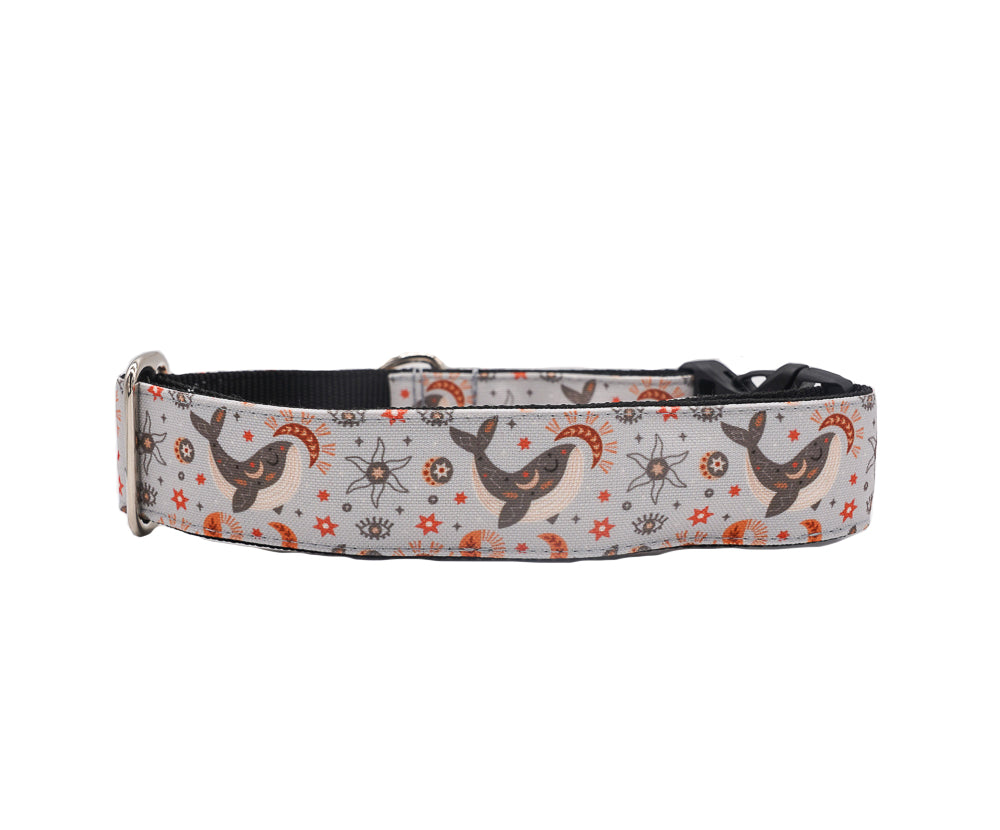Recycled Canvas Boho Whales Dog Collar