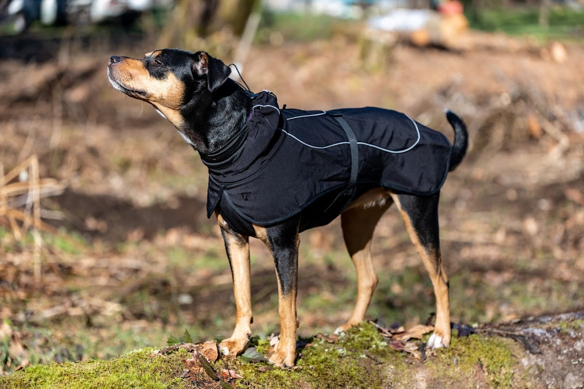 Brize Dog Raincoat