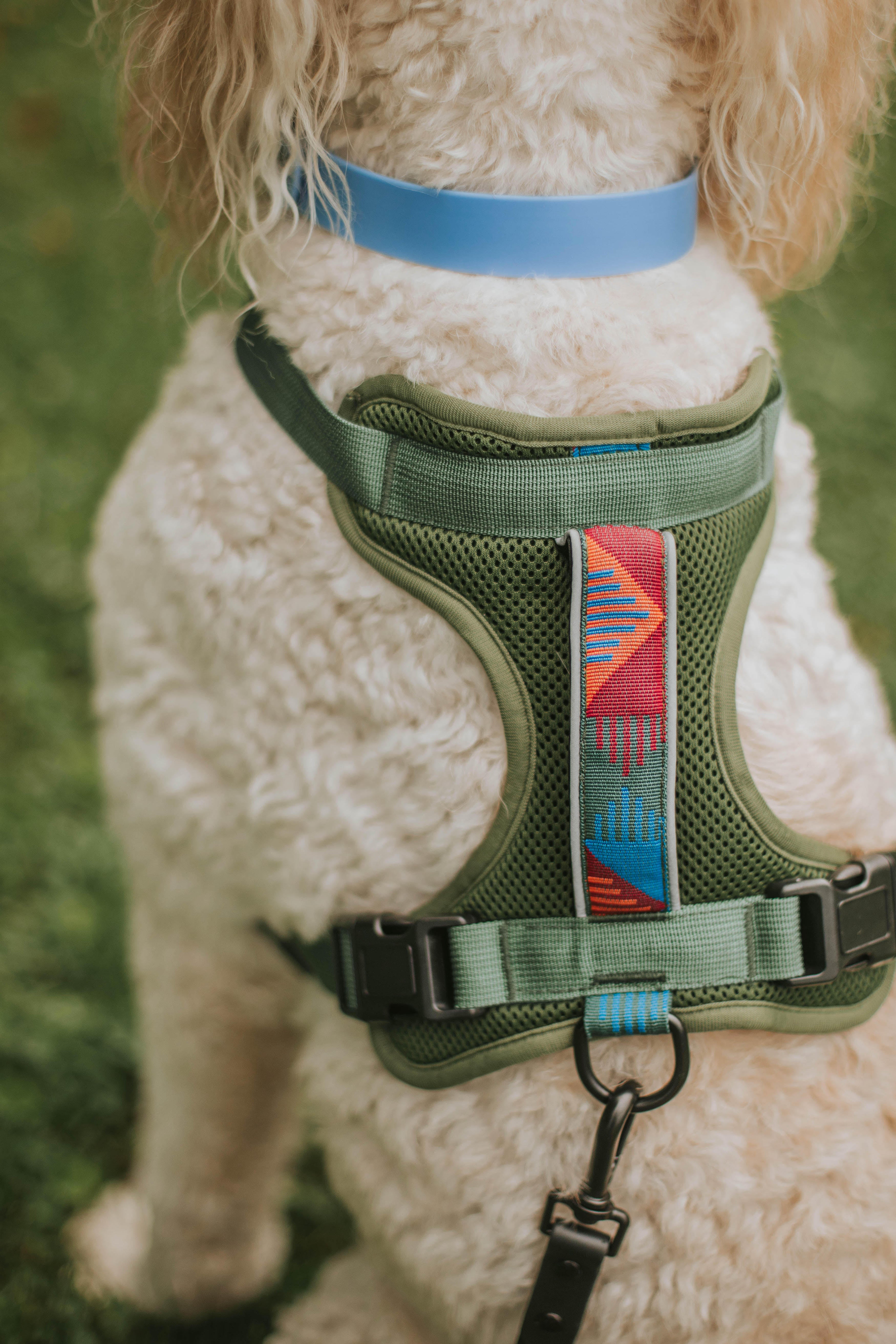 Soft Padded Olive Harness